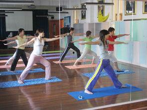 温州瑜伽爆料事件视频播放,真相与争议并存